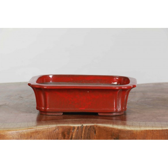 Vaso China - CH370