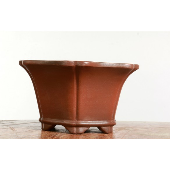 Vaso China - CH469