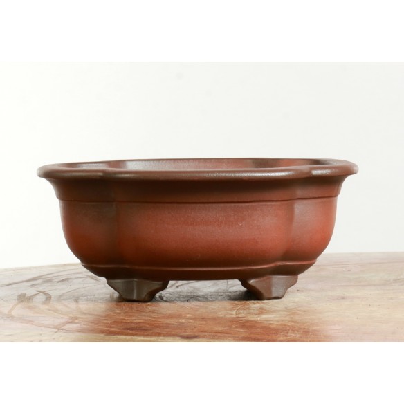 Maceta China - CH483