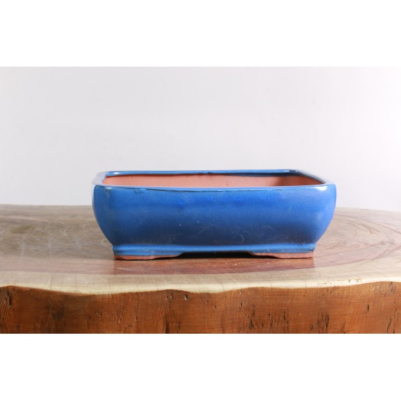 Vaso China - CH499