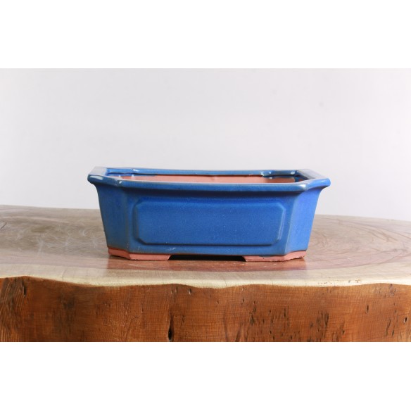 Vaso China - CH501