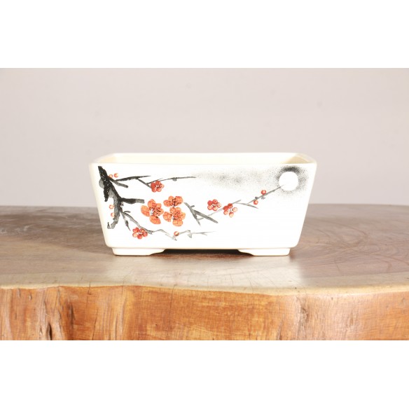 Chinese Pot - 5.1.004