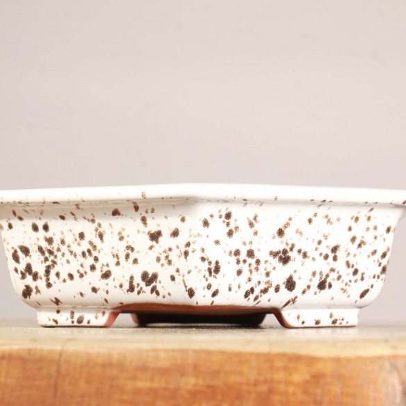 Vaso China - 5.1.013
