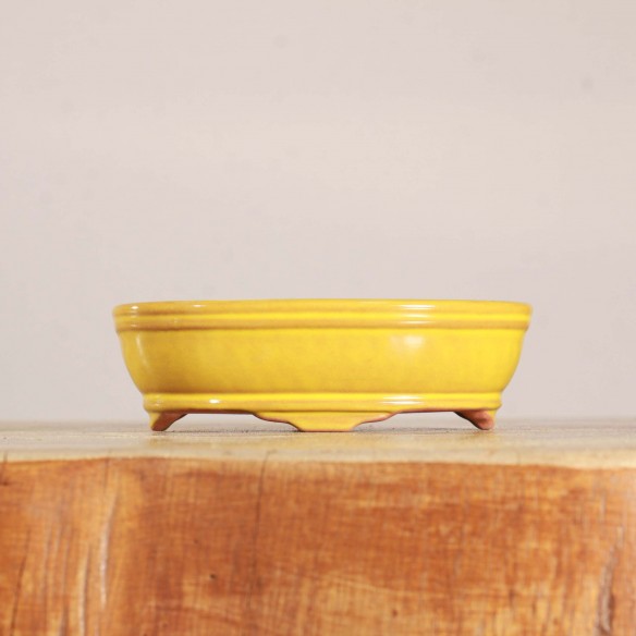 Vaso China - 5.1.015