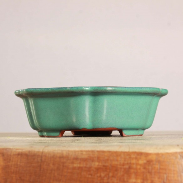 Vaso China - 5.1.029