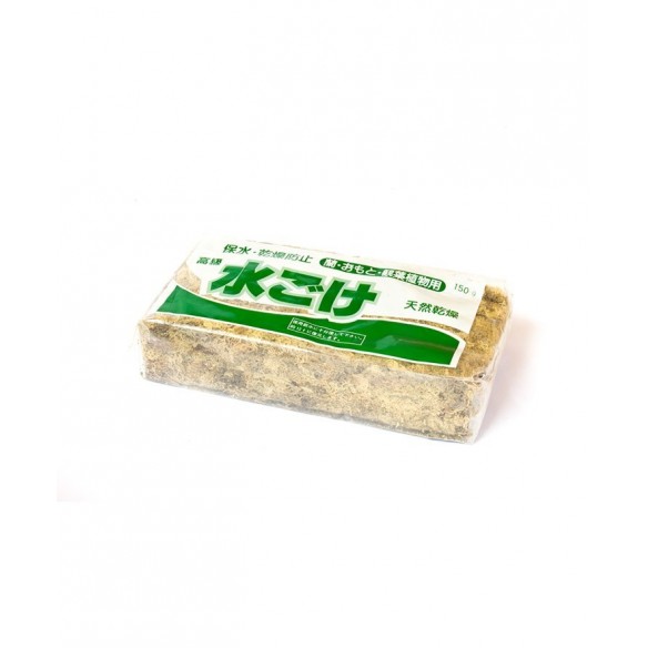 Musgo Sphagnum