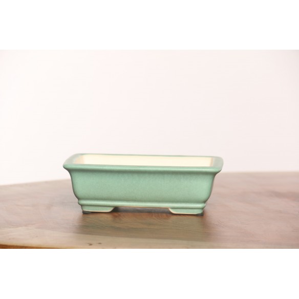 Vaso China - CH119
