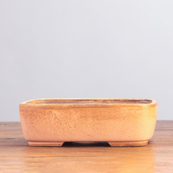 VASO EUROPA - 5.3.002