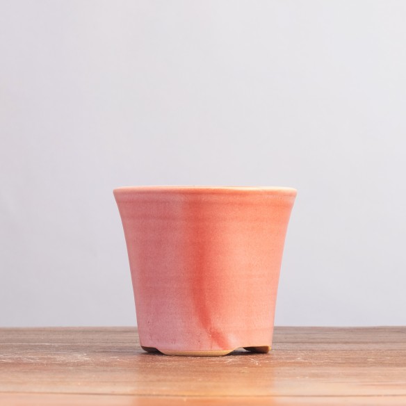 EUROPEAN POT - 5.3.010