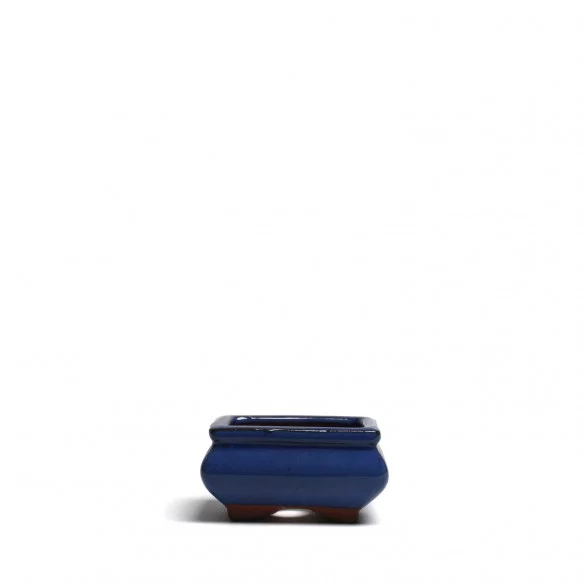 Yixing Chinese Pot - 5.1.527