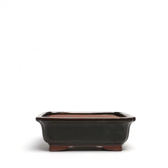 Yixing Chinese Pot - 5.1.529