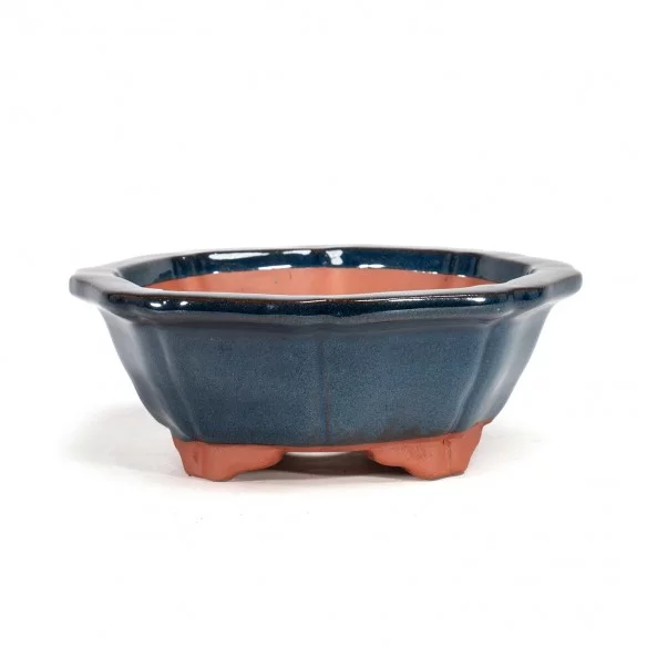 Yixing Chinese Pot - 5.1.563