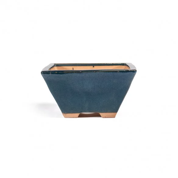 Yixing Chinese Pot - 5.1.620