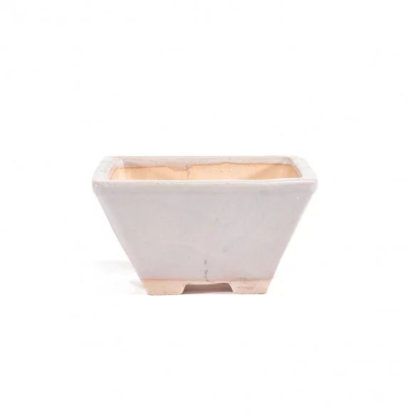 Yixing Chinese Pot - 5.1.625