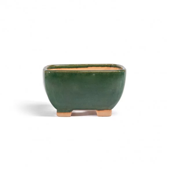 Yixing Chinese Pot - 5.1.630