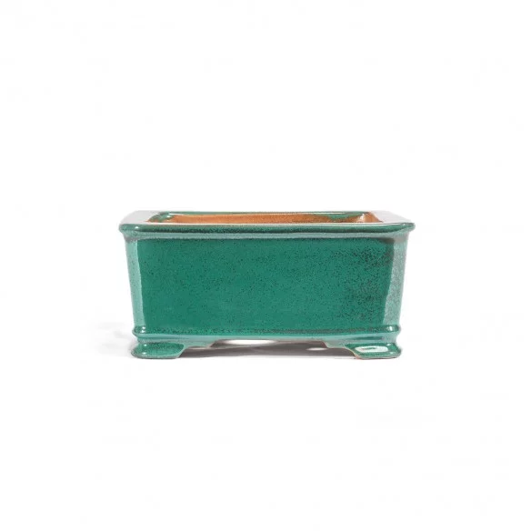 Yixing Chinese Pot - 5.1.611