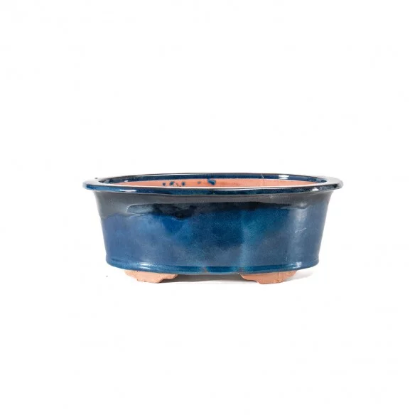 Yixing Chinese Pot - 5.1.555