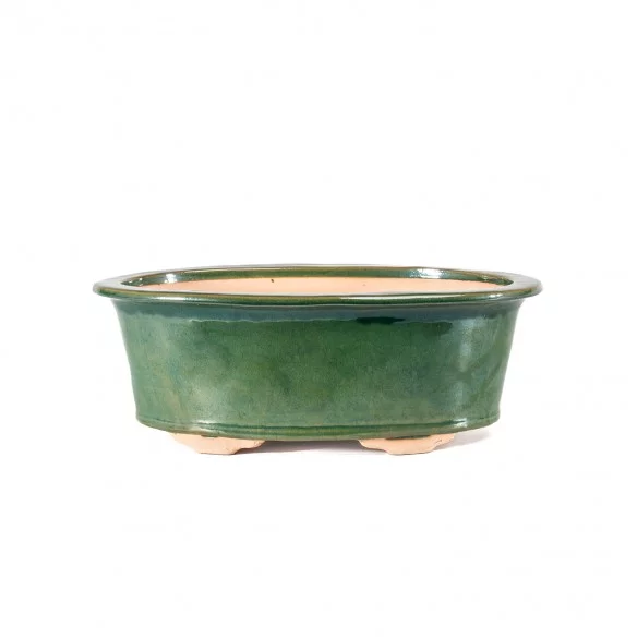 Yixing Chinese Pot - 5.1.556