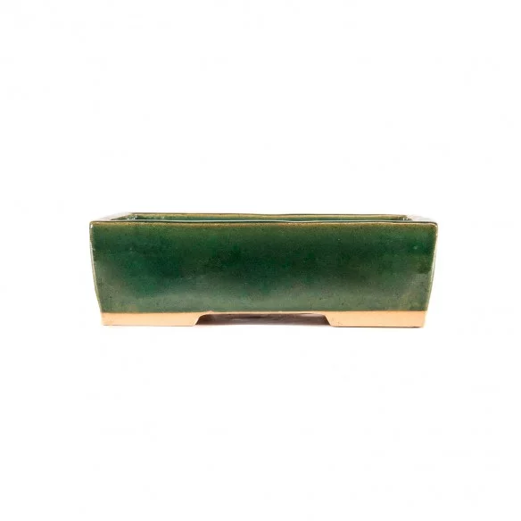 Yixing Chinese Pot - 5.1.584