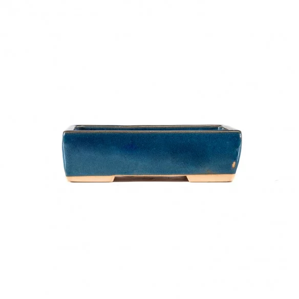 Yixing Chinese Pot - 5.1.585