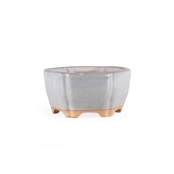 Yixing Chinese Pot - 5.1.594