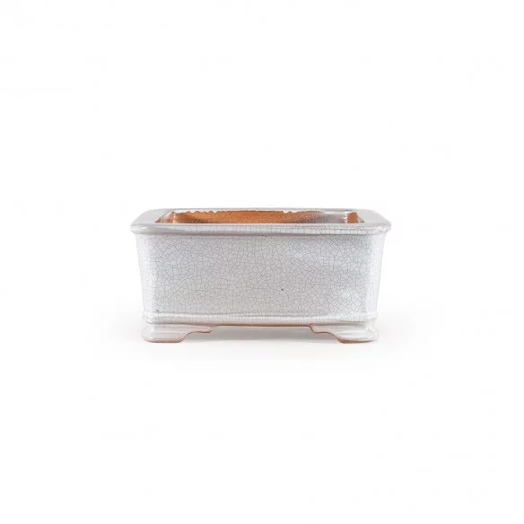 Yixing Chinese Pot - 5.1.612