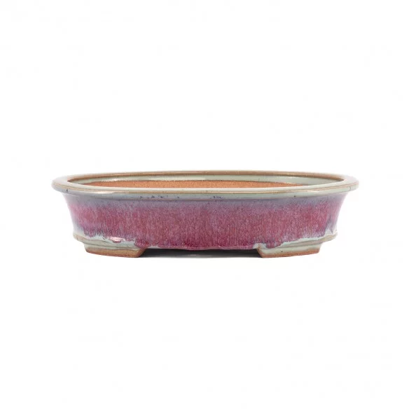 Vaso Japão Youzan - 5.2.388