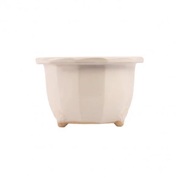 Maceta Japonesa Yokkaichi -...