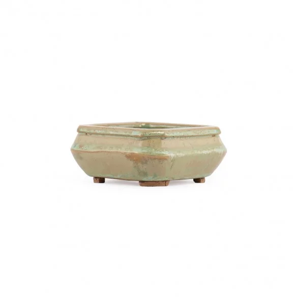 Maceta Europa - 5.3.267