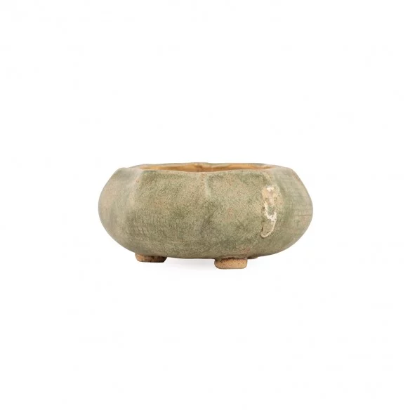 Vaso Europa - 5.3.436