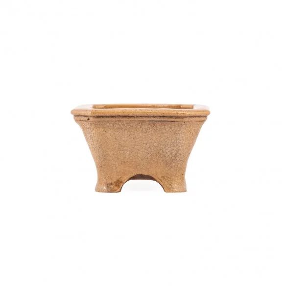 Maceta Europa - 5.3.453