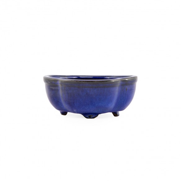 Yixing Chinese Pot - 5.1.659