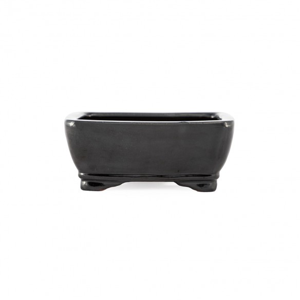 Yixing Chinese Pot - 5.1.663