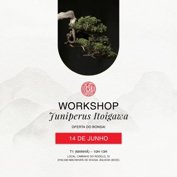 Workshop – Juniperus...