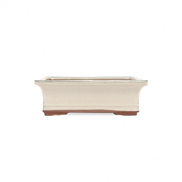 Yixing Chinese Pot - 5.1.797