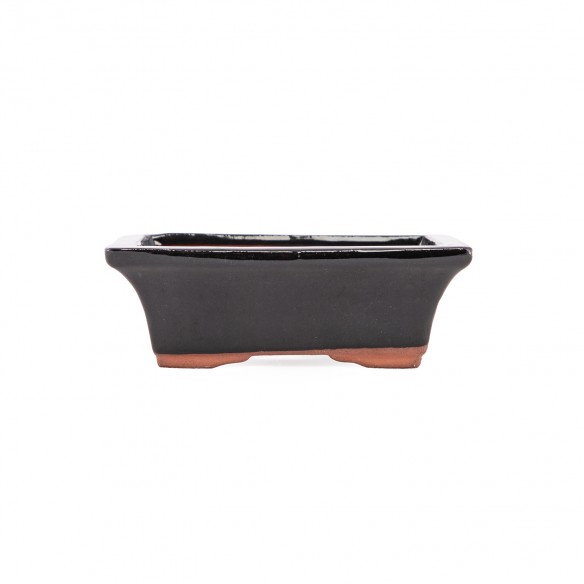 Yixing Chinese Pot - 5.1.804