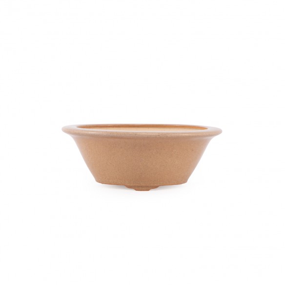 Yixing Chinese Pot - 5.1.810