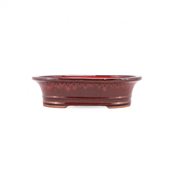Yixing Chinese Pot - 5.1.813
