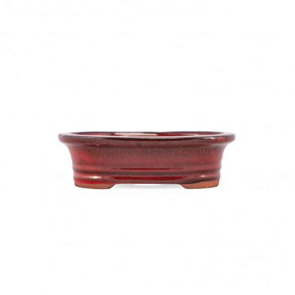 Yixing Chinese Pot - 5.1.816
