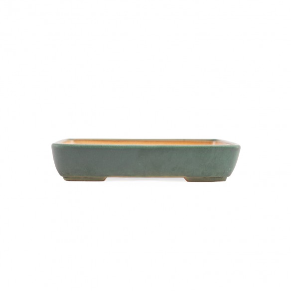 Yixing Chinese Pot - 5.1.823
