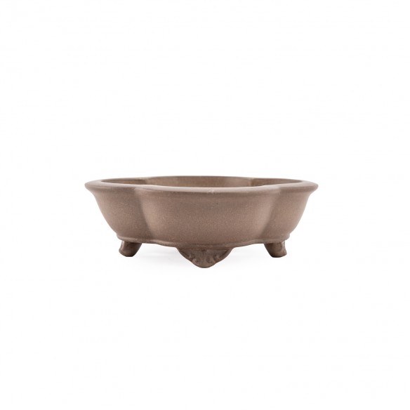 Yixing Chinese Pot - 5.1.861