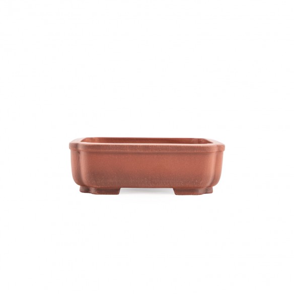 Yixing Chinese Pot - 5.1.872