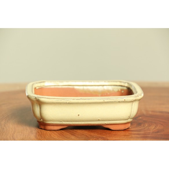 Vaso China - CH86