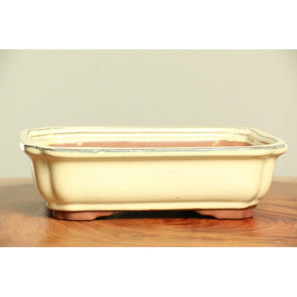 Vaso China - CH88