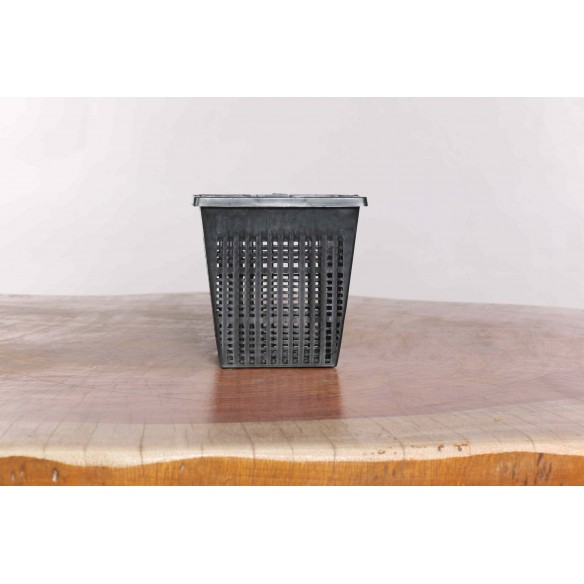 Colander Square Pot 11 cm