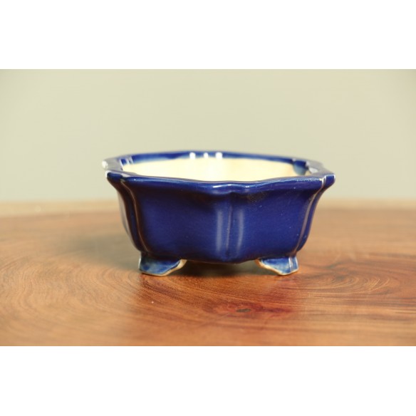 Vaso China - CH98
