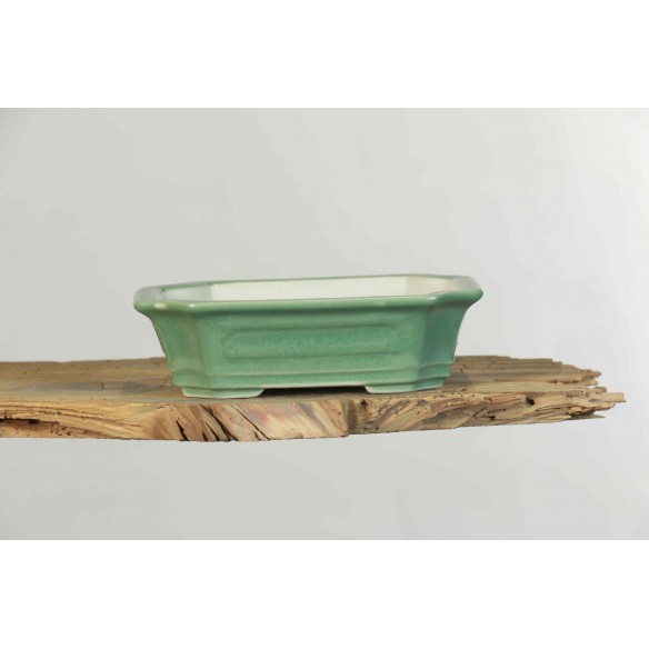 Vaso China - CH181
