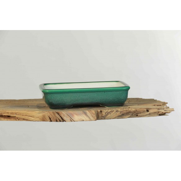 Vaso China - CH183