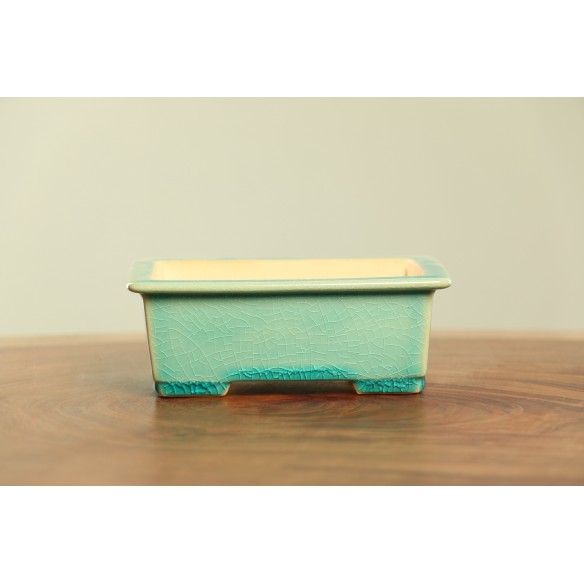 Vaso China - CH111
